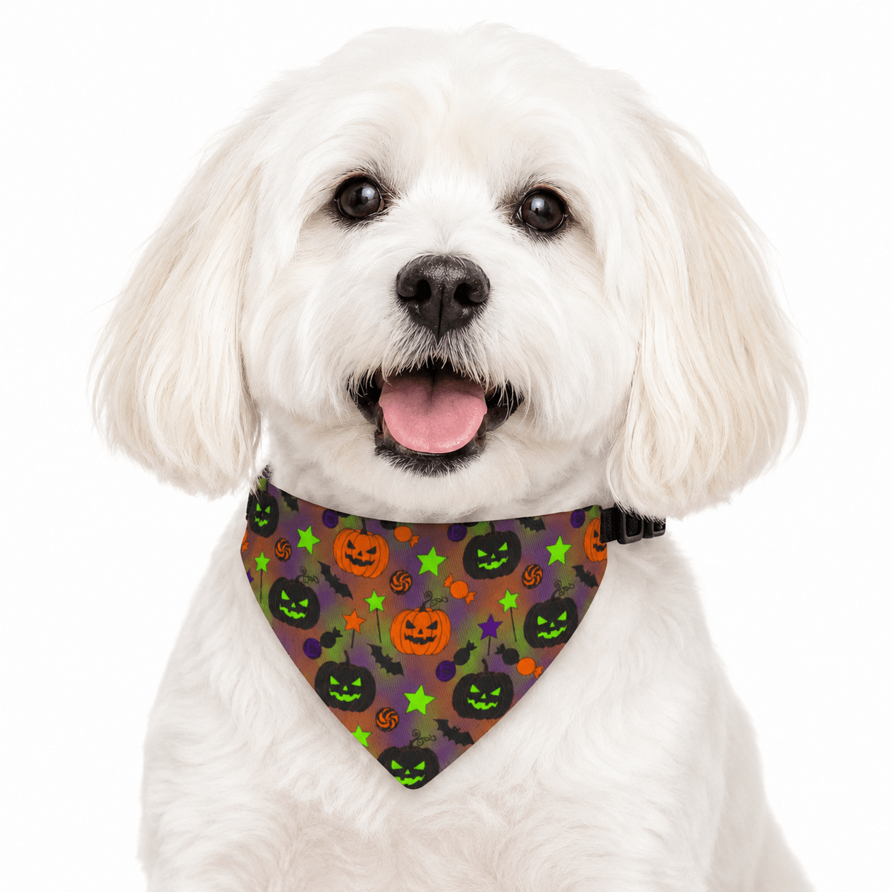 Halloween Pumpkin Clip-On Pet Bandana — Spooky Jack-O'-Lanterns