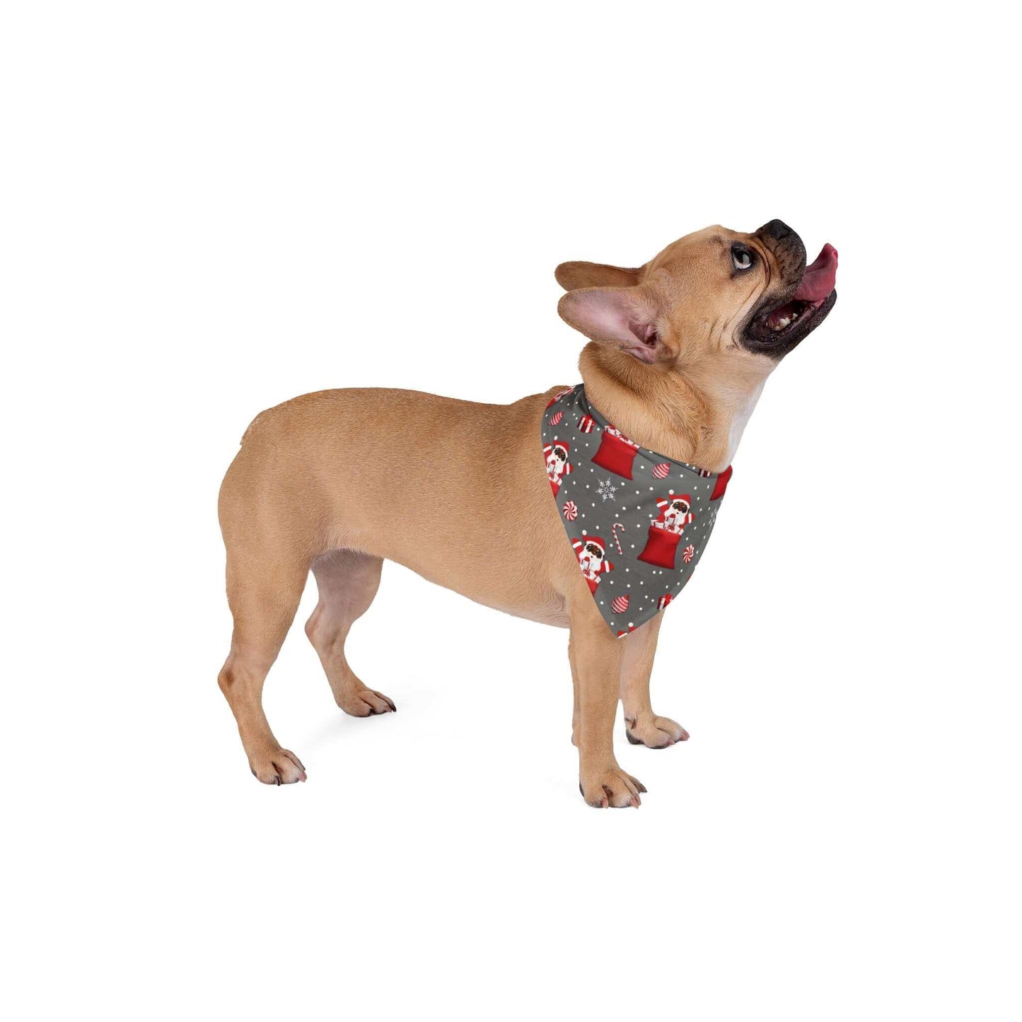 Exclusive Christmas Santa Pet Bandana, Paw-Sonality, Brand63