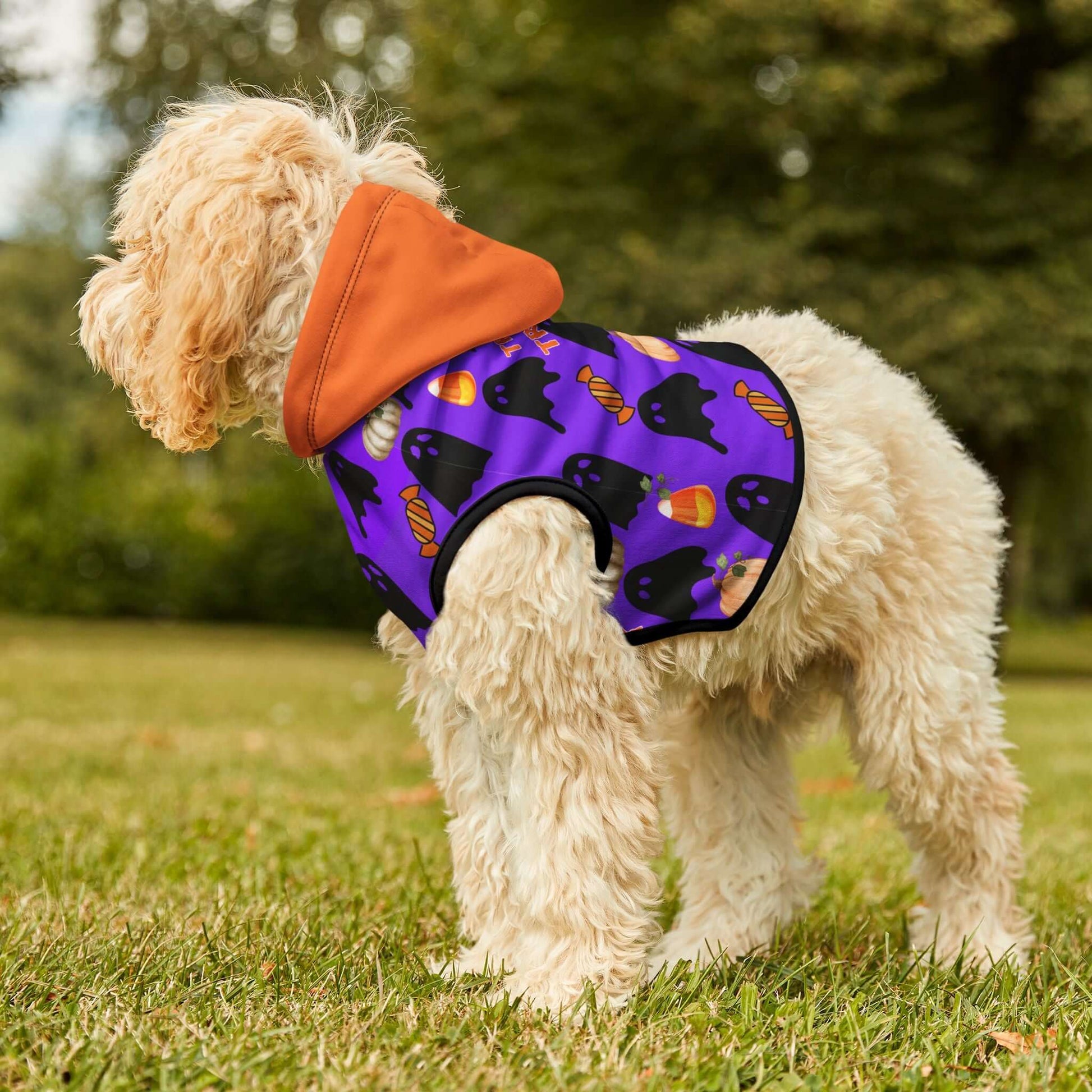 Spooky Halloween Pet Hoodie for Cats & Dogs| Perfect for Trick-or-Treat Fun, Brand63