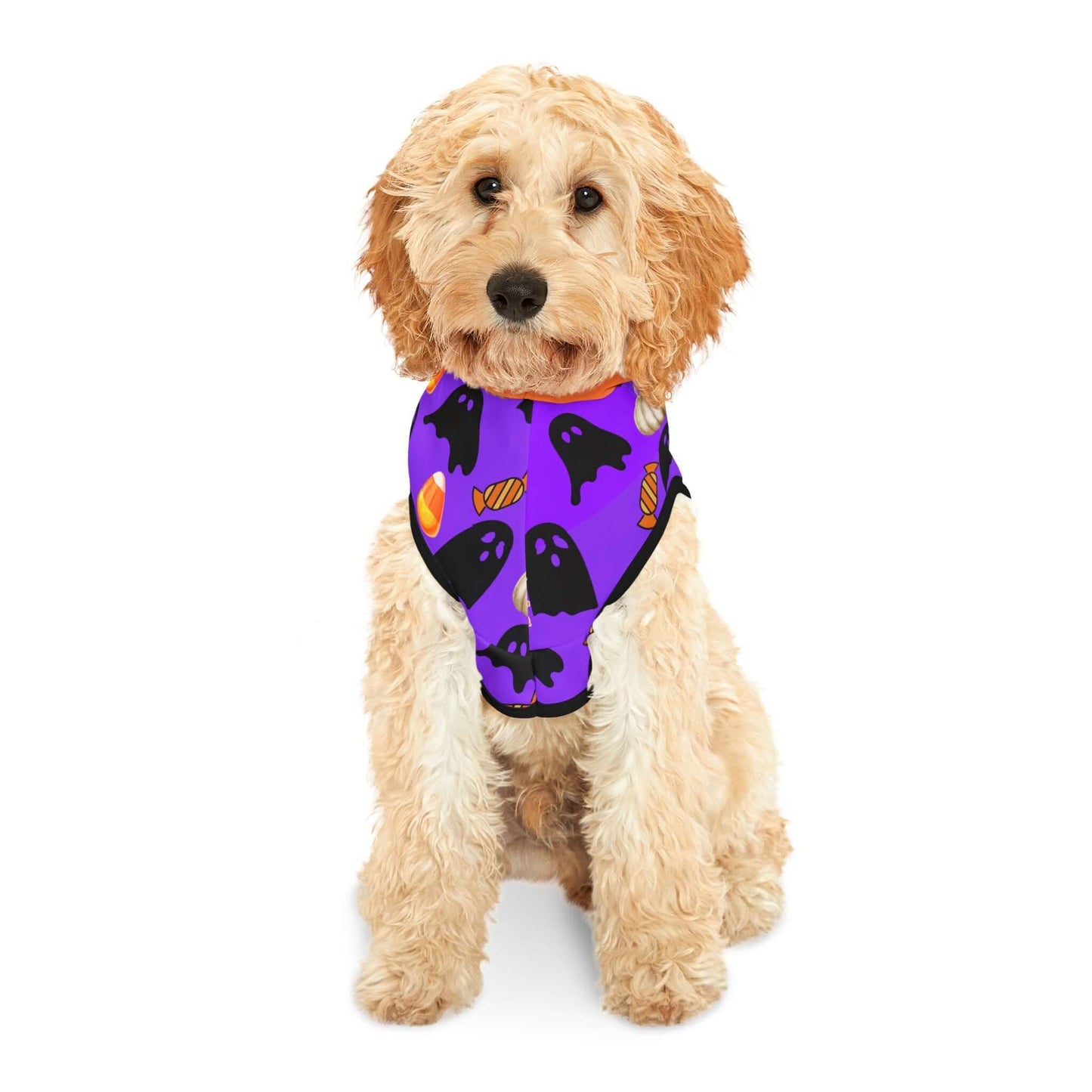 Spooky Halloween Pet Hoodie for Cats & Dogs| Perfect for Trick-or-Treat Fun, Brand63