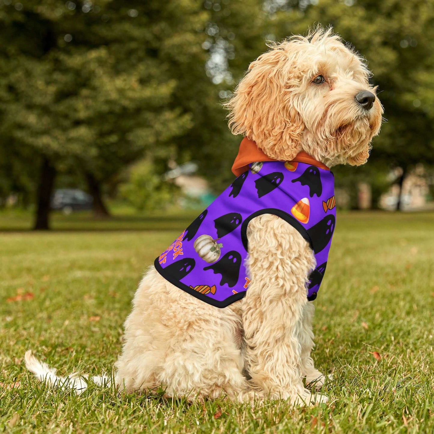Spooky Halloween Pet Hoodie for Cats & Dogs| Perfect for Trick-or-Treat Fun, Brand63