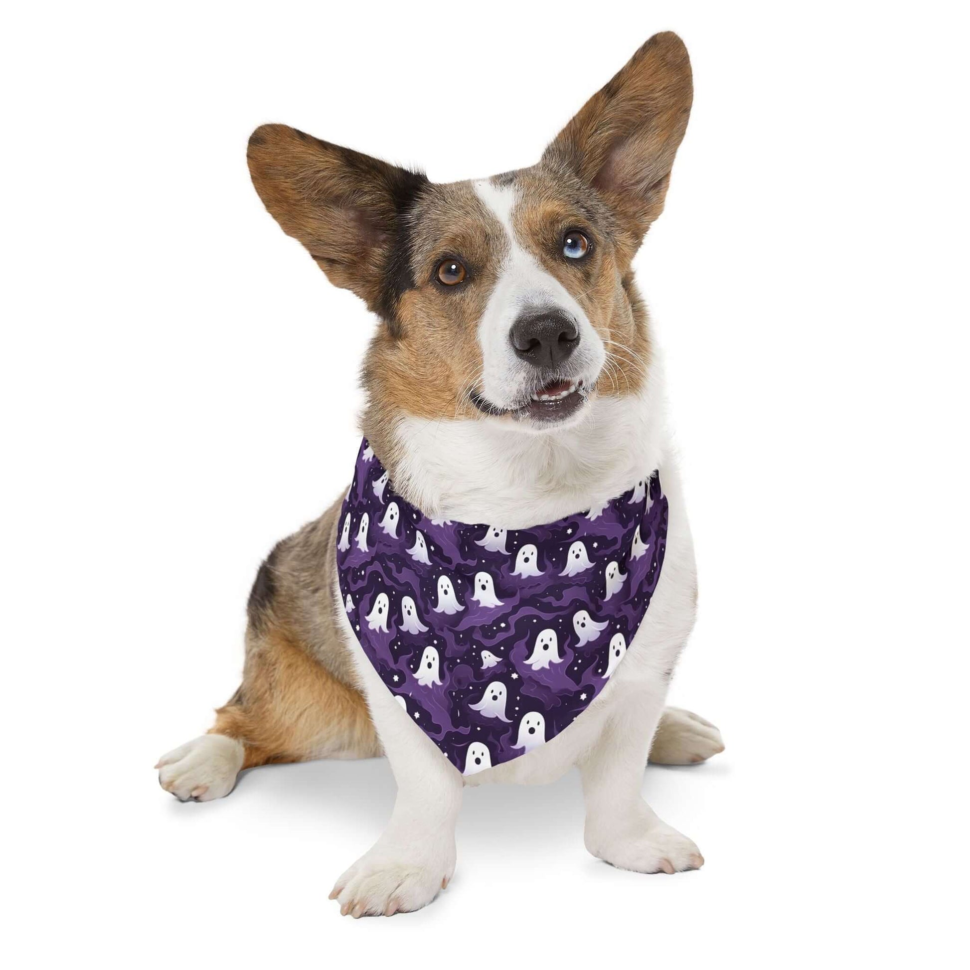 Ghostly Halloween Pet Bandana Collar, Brand63