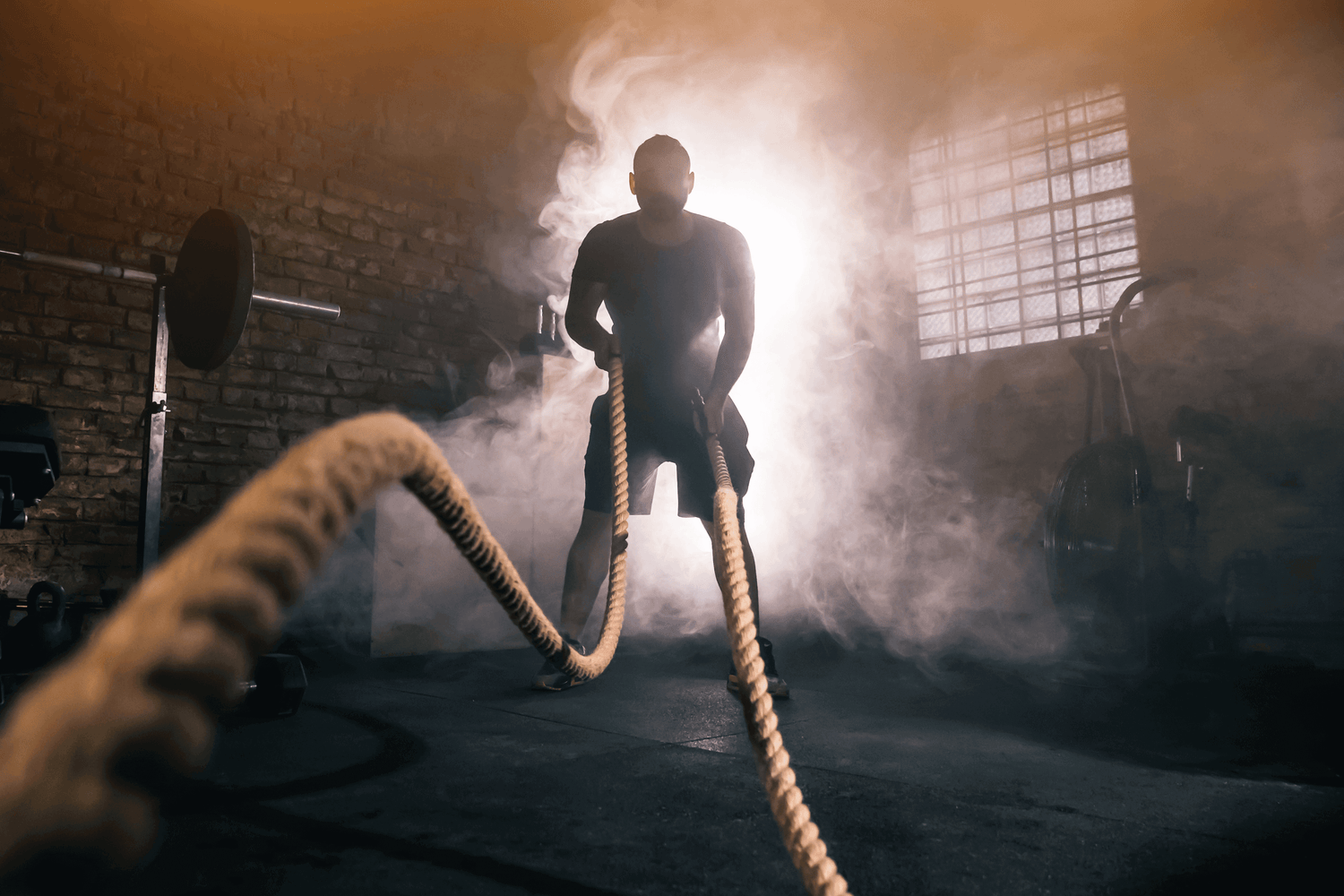 nj_wear_2008_gym_merch, Brand63